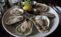  Oysters on the Half Shell, half dozen or dozen (Tuesdays Only)